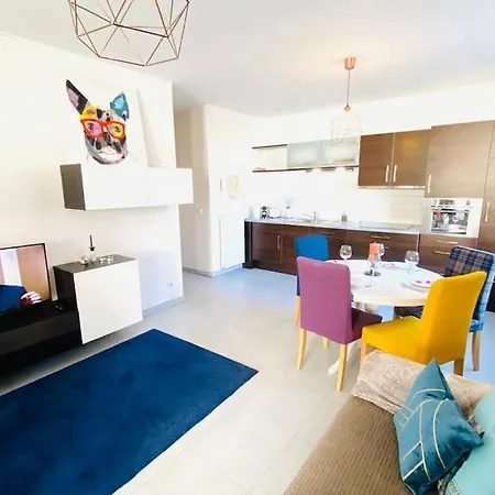 Apartment Large In Center With Terrace-cosy