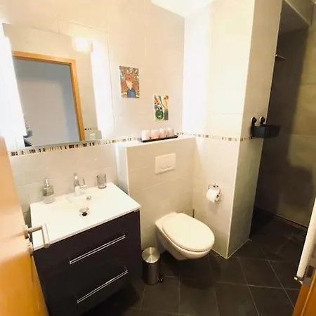 Apartment Large In Center With Terrace-cosy