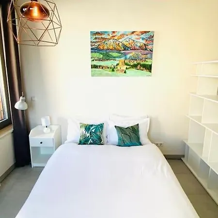 Large In Center With Terrace-cosy *